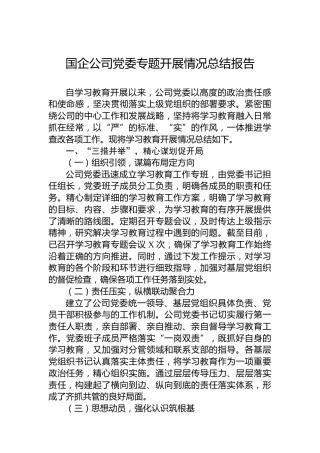 国企公司党委专题开展情况总结报告