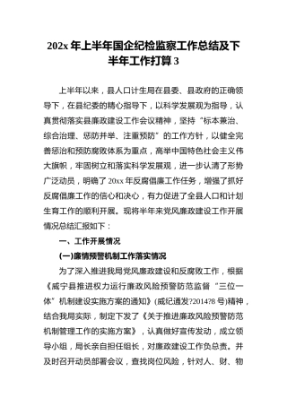 202x年上半年国企纪检监察工作总结及下半年工作打算3