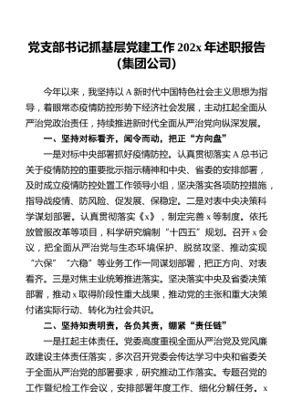 党支部书记抓基层党建工作202x年述职报告（集团公司）