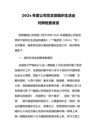 【企业发言】年度公司党支部组织生活会对照检查发言