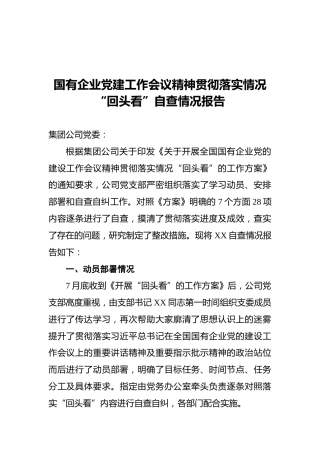 国有企业党建工作会议精神贯彻落实情况“回头看”自查情况报告