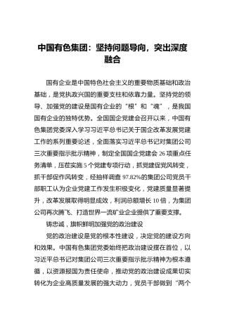中国有色集团：坚持问题导向，突出深度融合