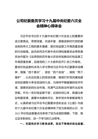 公司纪委委员学习十九届中央纪委六次全会精神心得体会