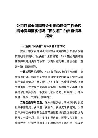公司开展全国国有企业党的建设工作会议精神贯彻落实情况“回头看”的自查情况报告