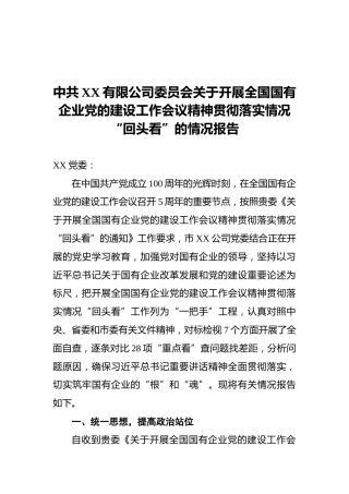中共XX有限公司委员会关于开展全国国有企业党的建设工作会议精神贯彻落实情况“回头看”的情况报告