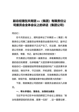 副总经理在共青团xx（集团）有限责任公司委员会全体会议上的讲话（集团公司）