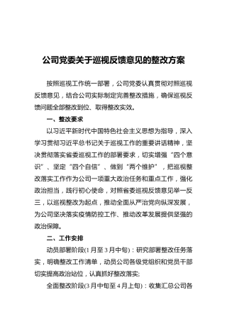 公司党委关于巡视反馈意见的整改方案