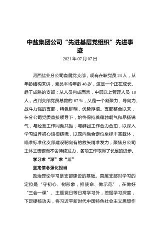 中盐集团公司“先进基层党组织”先进事迹