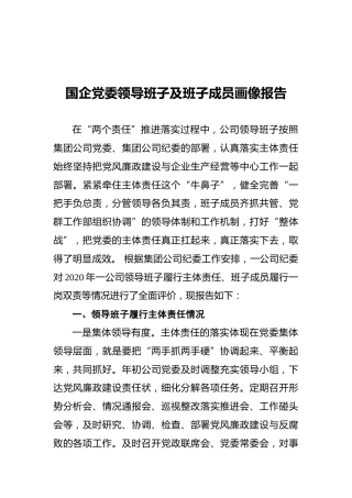 国企党委领导班子及班子成员画像报告