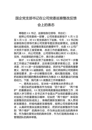 国企党支部书记在公司党委巡察整改反馈会上的表态