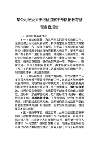某公司纪委关于纪检监察干部队伍教育整顿自查报告