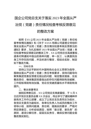 国企公司党总支关于落实2023年全面从严治党（党建）责任情况检查考核反馈意见的整改方案