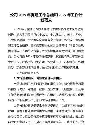 公司202x年党建工作总结和202x年工作计划范文