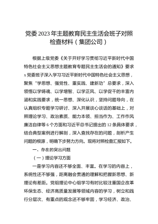 党委2023年主题教育民主生活会班子对照检查材料（集团公司）