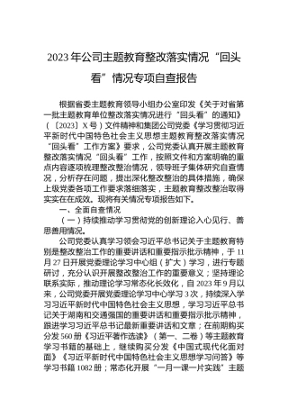 2023年公司主题教育整改落实情况“回头看”情况专项自查报告