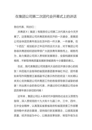 （7.19）在集团公司第二次团代会开幕式上的讲话