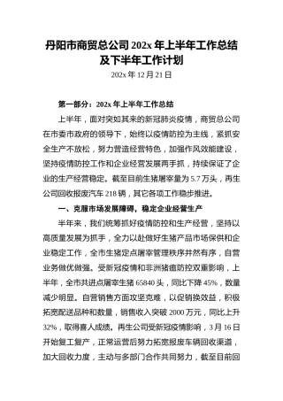 丹阳市商贸总公司202x年上半年工作总结及下半年工作计划