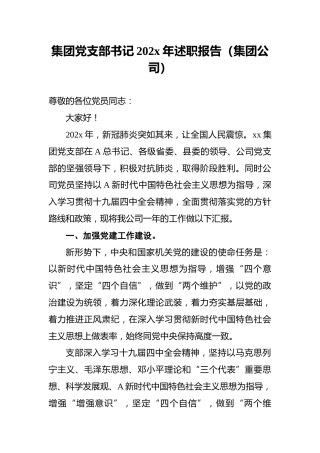 集团党支部书记202x年述职报告（集团公司）