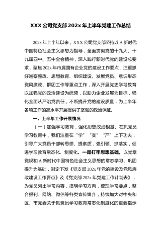 XXX公司党支部202x年上半年党建工作总结