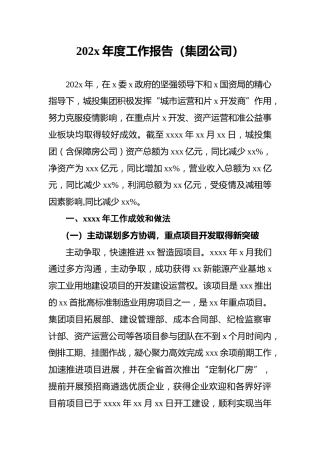 202x年度工作报告（集团公司）