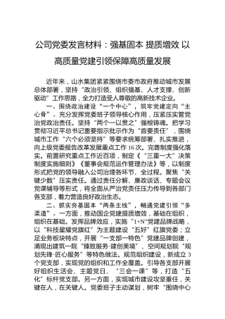 公司党委发言材料：强基固本+提质增效+以高质量党建引领保障高质量发展