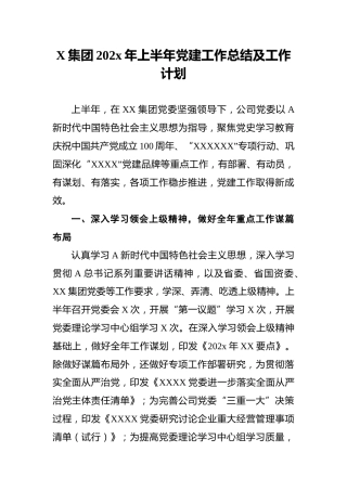 X集团202x年上半年党建工作总结及工作计划