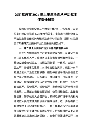公司党总支202x年上半年全面从严治党主体责任报告