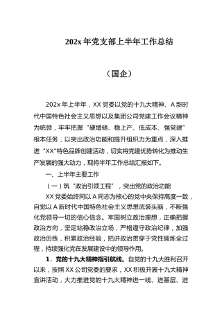 202x年党支部上半年工作总结（国企）