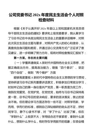 公司党委书记202x年度民主生活会个人对照检查材料