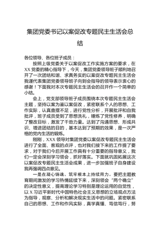集团党委书记以案促改专题民主生活会总结