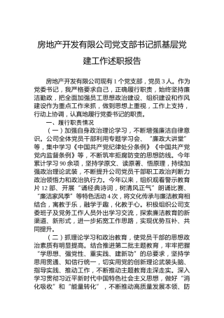房地产开发有限公司党支部书记抓基层党建工作述职报告