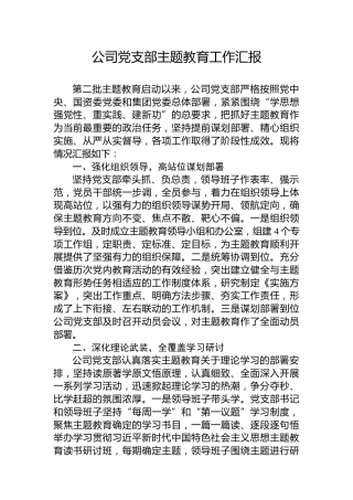 公司党支部主题教育工作汇报
