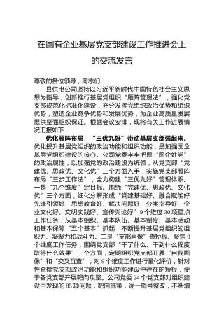 在国有企业基层党支部建设工作推进会上的交流发言