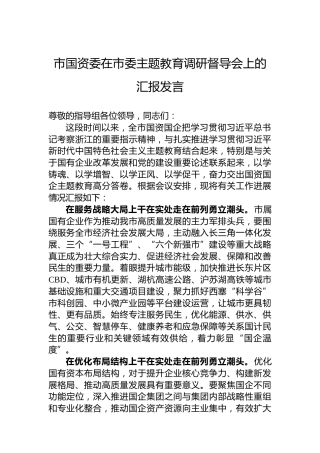 市国资委在市委主题教育调研督导会上的汇报发言