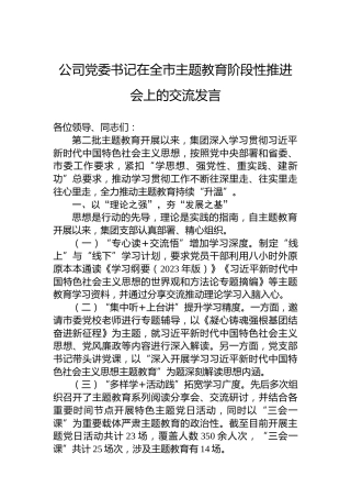 公司党委书记在全市主题教育阶段性推进会上的交流发言