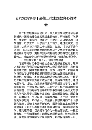 公司党员领导干部第二批主题教育心得体会