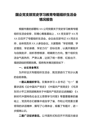 国企党支部党史学习教育专题组织生活会情况报告