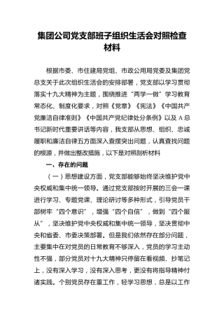 集团公司党支部班子组织生活会对照检查材料