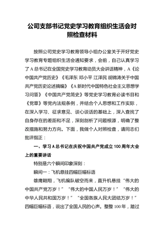 公司支部书记党史学习教育组织生活会对照检查材料