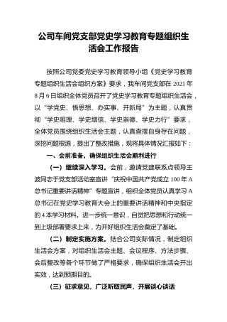 公司车间党支部党史学习教育专题组织生活会工作报告