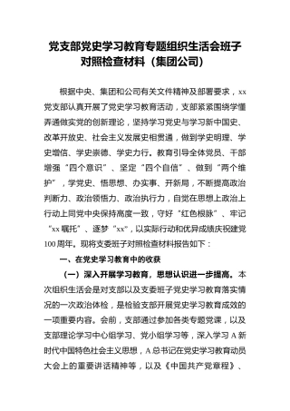 党支部党史学习教育专题组织生活会班子对照检查材料（集团公司）
