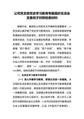公司党支部党史学习教育专题组织生活会支委班子对照检查材料