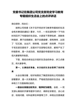 党委书记在集团公司党支部党史学习教育专题组织生活会上的点评讲话