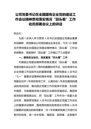 公司党委书记在全国国有企业党的建设工作会议精神贯彻落实情况“回头看”工作动员部署会议上的讲话