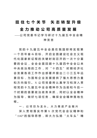 公司党委书记学习研讨十九届五中全会精神发言