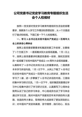 公司党委书记党史学习教育专题组织生活会个人检视材