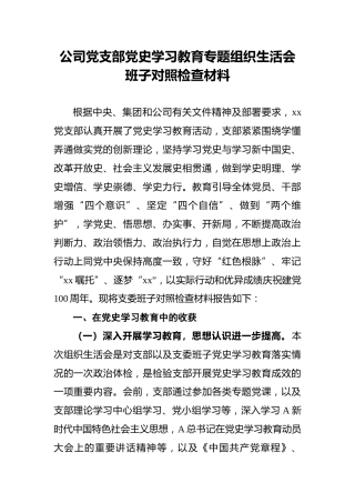 公司党支部党史学习教育专题组织生活会班子对照检查材料
