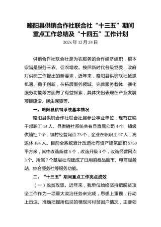 略阳县供销合作社联合社“十三五”期间重点工作总结及“十四五”工作计划