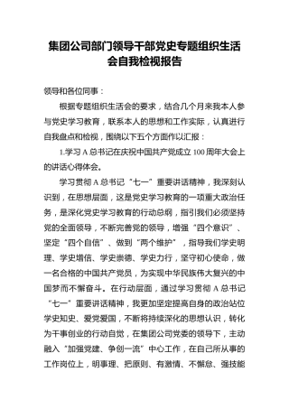 集团公司部门领导干部党史专题组织生活会自我检视报告