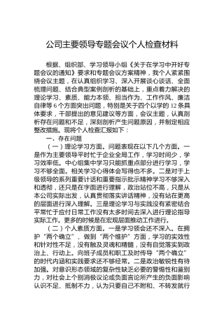 公司主要领导专题会议个人检查材料